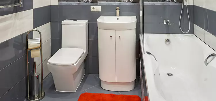 Hansgrohe Shaving Mirror Fort Dodge